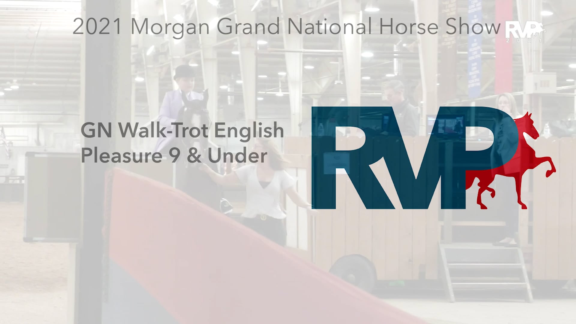 MGN21 - Class 75 - GN Walk-Trot English Pleasure 9 & Under