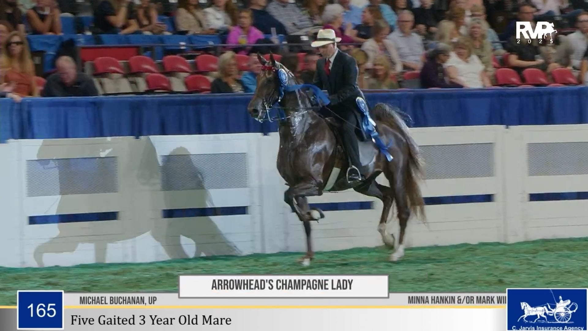 WCHS25 - Class 165 - Arrowhead's Champagne Lady and Michael Buchanan, Up