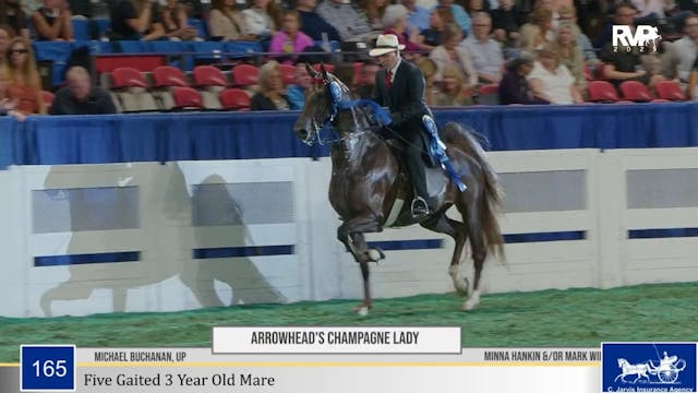 WCHS25 - Class 165 - Arrowhead's Cham...