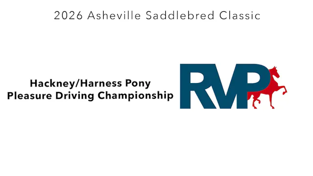 ASC26 - Class 93 - Hackney-Harness Po...