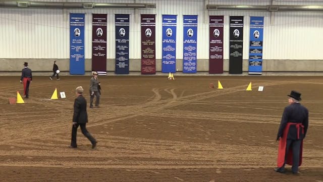 MGN16 - Sport Horse 1 - Wednesday Aft...