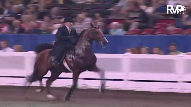 2003 WCHS Class 100 Amateur Five Gait...