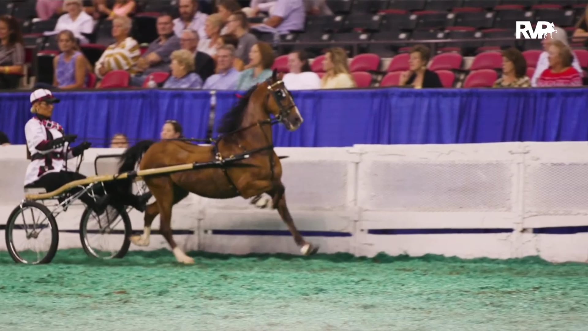 2020 Bridlespur Horse Show - Wednesday Evening