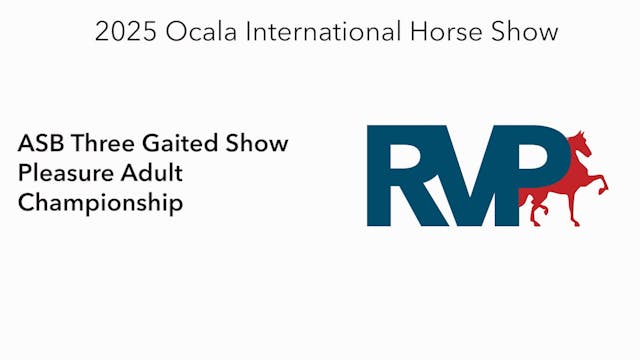 OI25 - Class 147 - ASB Three Gaited S...