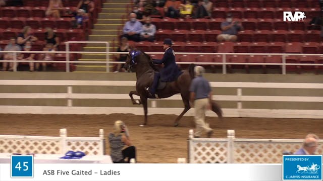 2020 ASF - Class 45 ASB Five Gaited L...