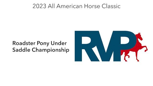 ASHAV23 - Class 105 - Roadster Pony Under Saddle Championship