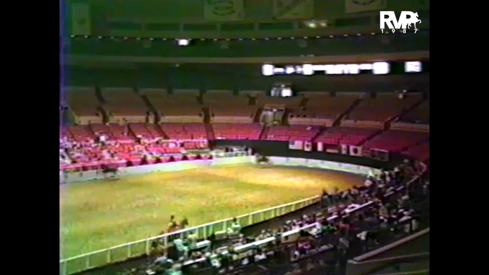 1987 New York National @ Madison Square Garden - Amateur Three Gaited Over 15.2 & Under - CH Yorktown Pudding and Christine Shaw, up
