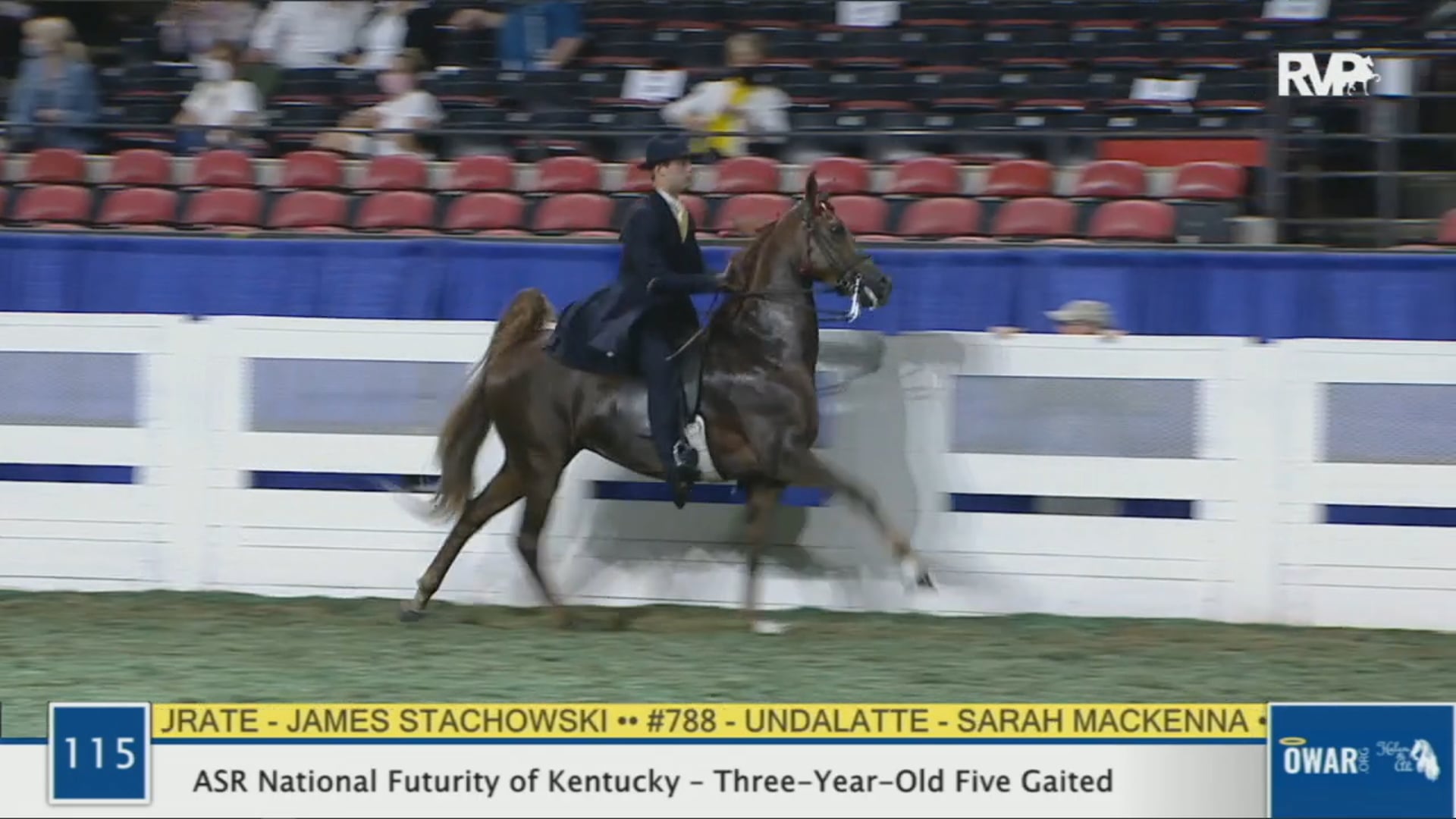 WCHS 2020 Class 115 - ASR National Futurity of Kentucky Three-Year-Old Five Gaited