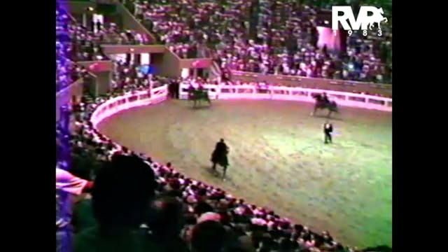 WCHS 1983 - Five-Gaited Grand Champio...