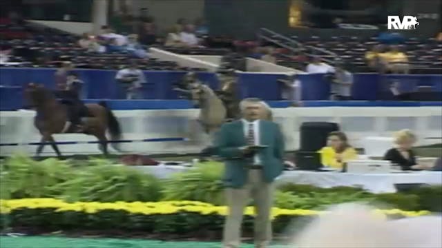 2000 WCHS Class 114 ASB Three Gaited ...