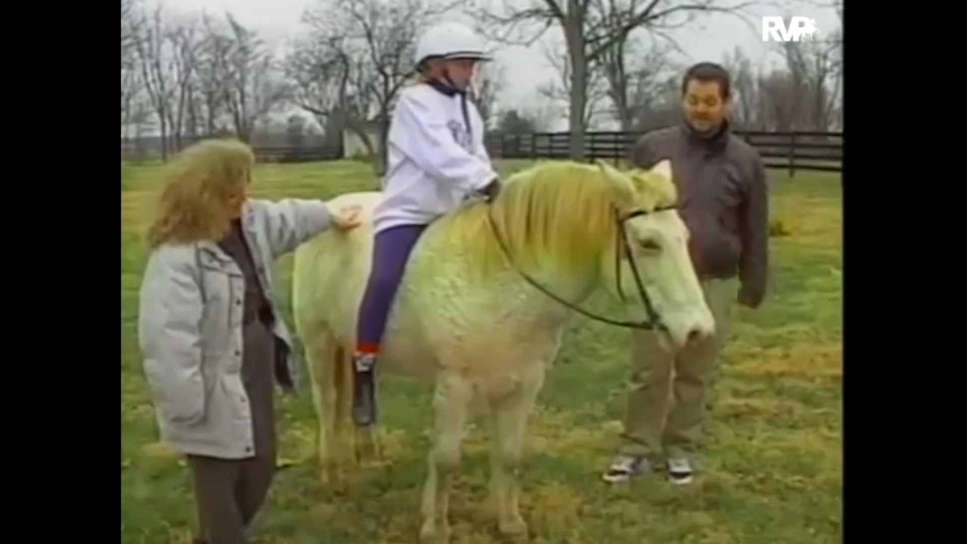 Looking Back at 
The Walk-Trot National Champion
Renee Zubrod
1995