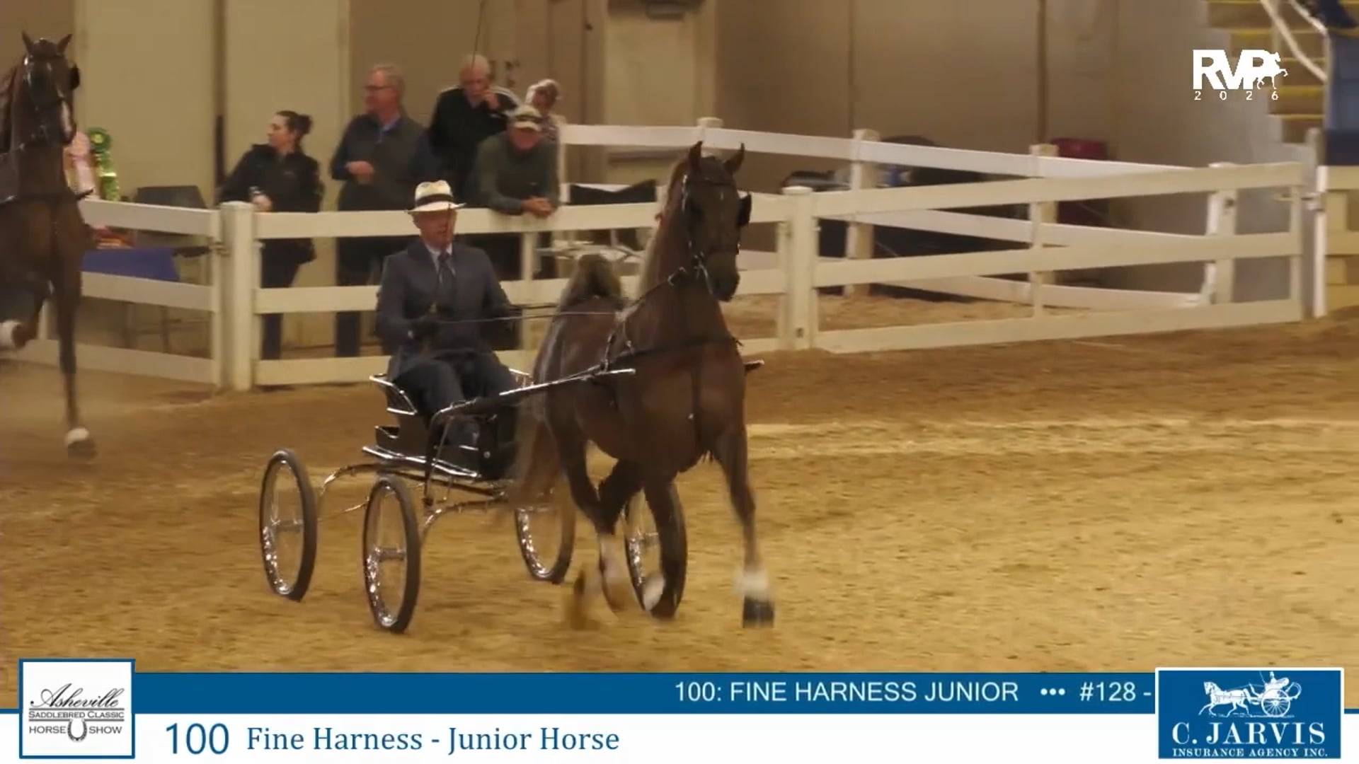 ASC26 - Class 100 - Fine Harness Jr Horse