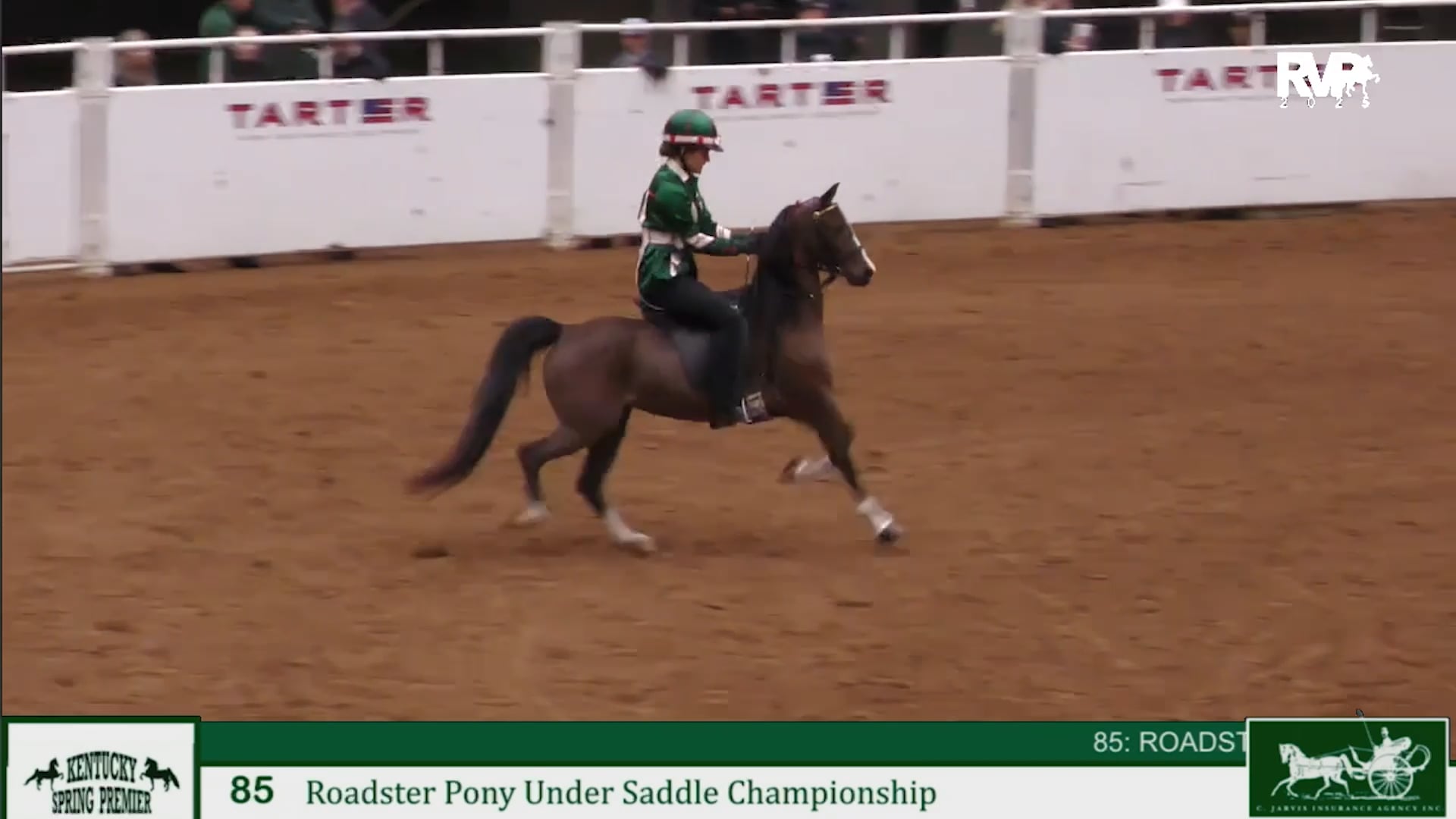 KYSP25 - Class 85 - Roadster Pony Under Saddle Championship