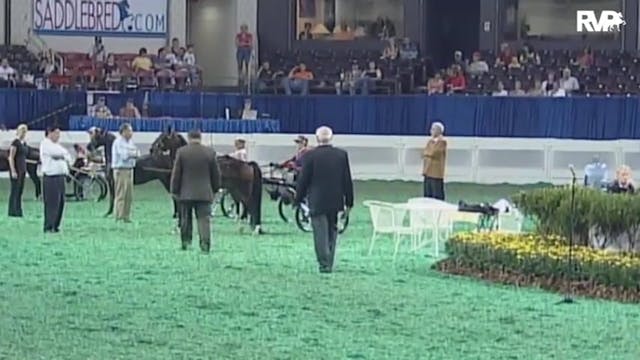 2010 World's Championship Horse Show ...