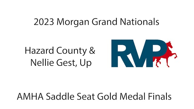 MGN23 - Class 150 - Hazard County & N...