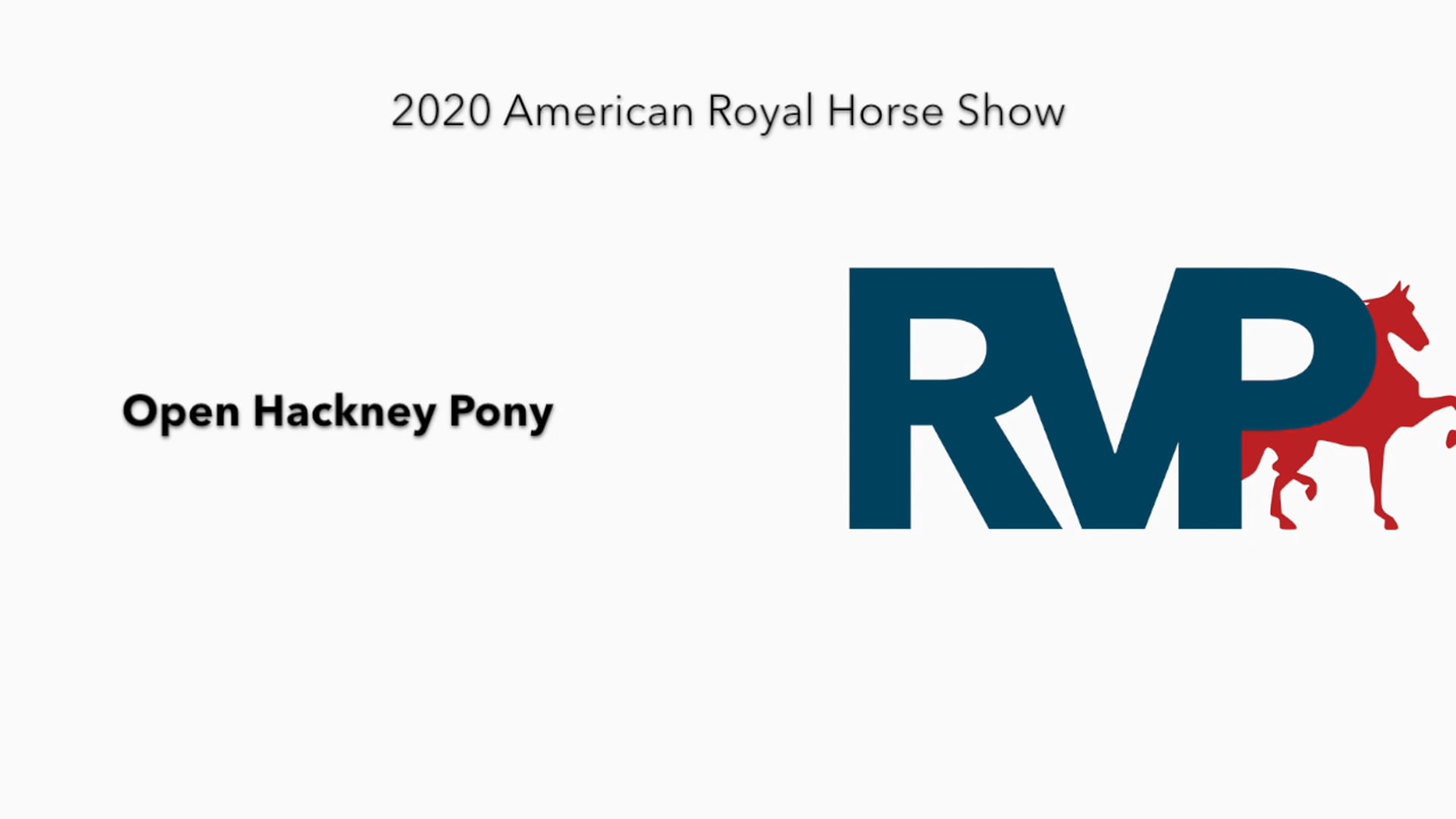 2020 AR - Class 102 Open Hackney Pony