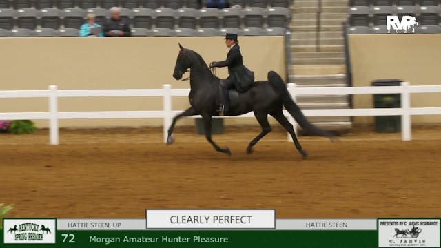 KYSP24 - Class 73 - ASB Three Gaited ...