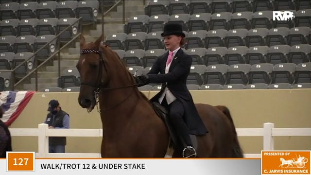 KFC 2020 - Class 127 Walk:Trot 12 & U...