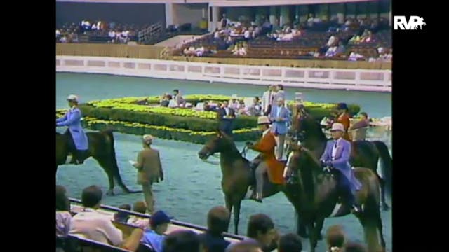 1988 WCHS Class 22 Three Gaited Pleas...
