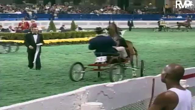 2003 WCHS Class 6 Kentucky County Fai...