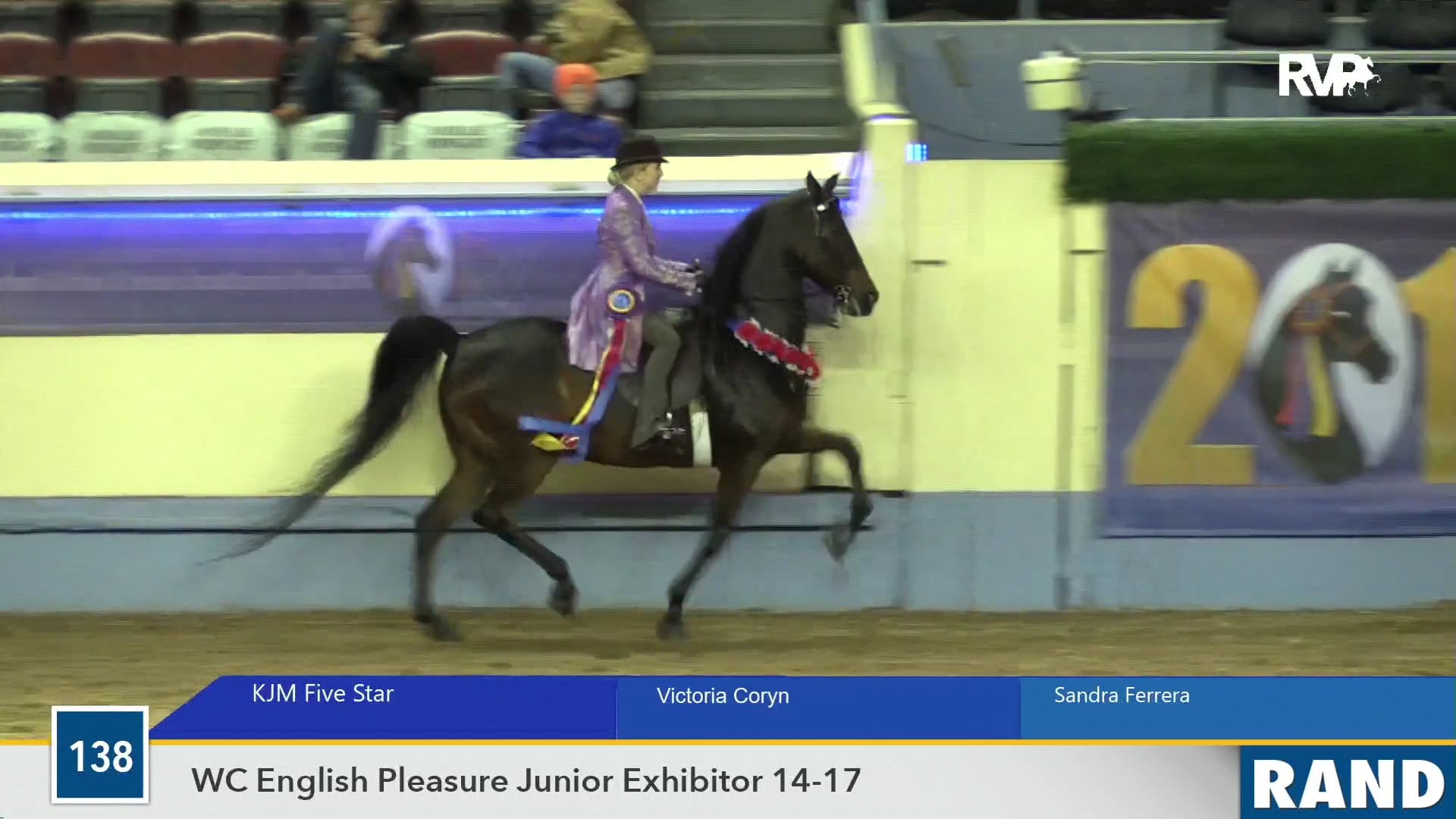 2019 Morgan Grand National - Coliseum - Thursday Morning