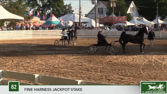 2017 RC - Class 82 Fine Harness Jackp...