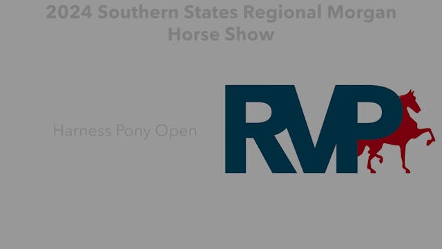 SS24 - Class 84 - Harness Pony Open