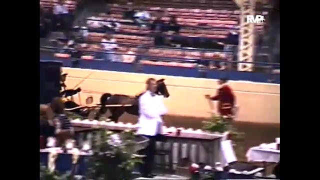 1999 Midwest Charity - Roadster Pony ...