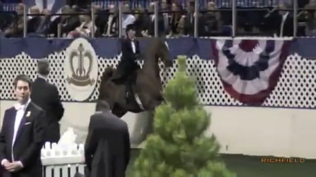2011 American Royal Three Gaited Stak...