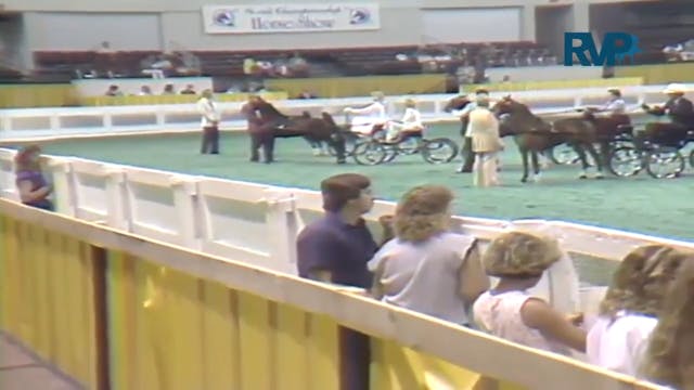 1987 WCHS Class 21 Amateur Harness Pony