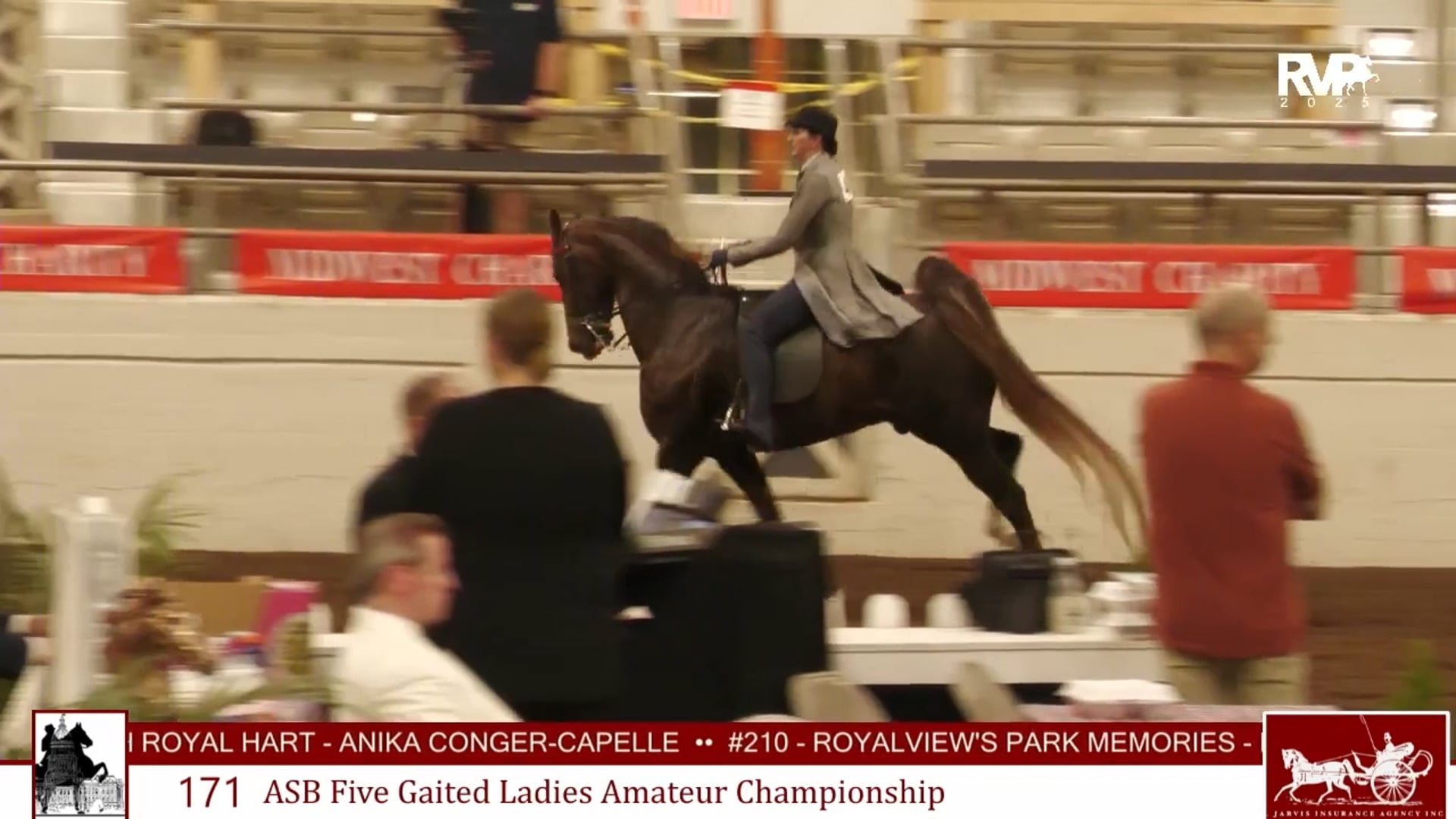 MW25 - Class 171 - ASB Five Gaited Ladies Amateur Championship