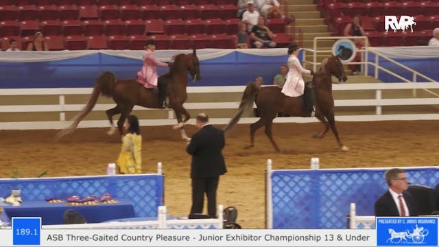 BR23 - Class 189.1 - ASB Three Gaited...