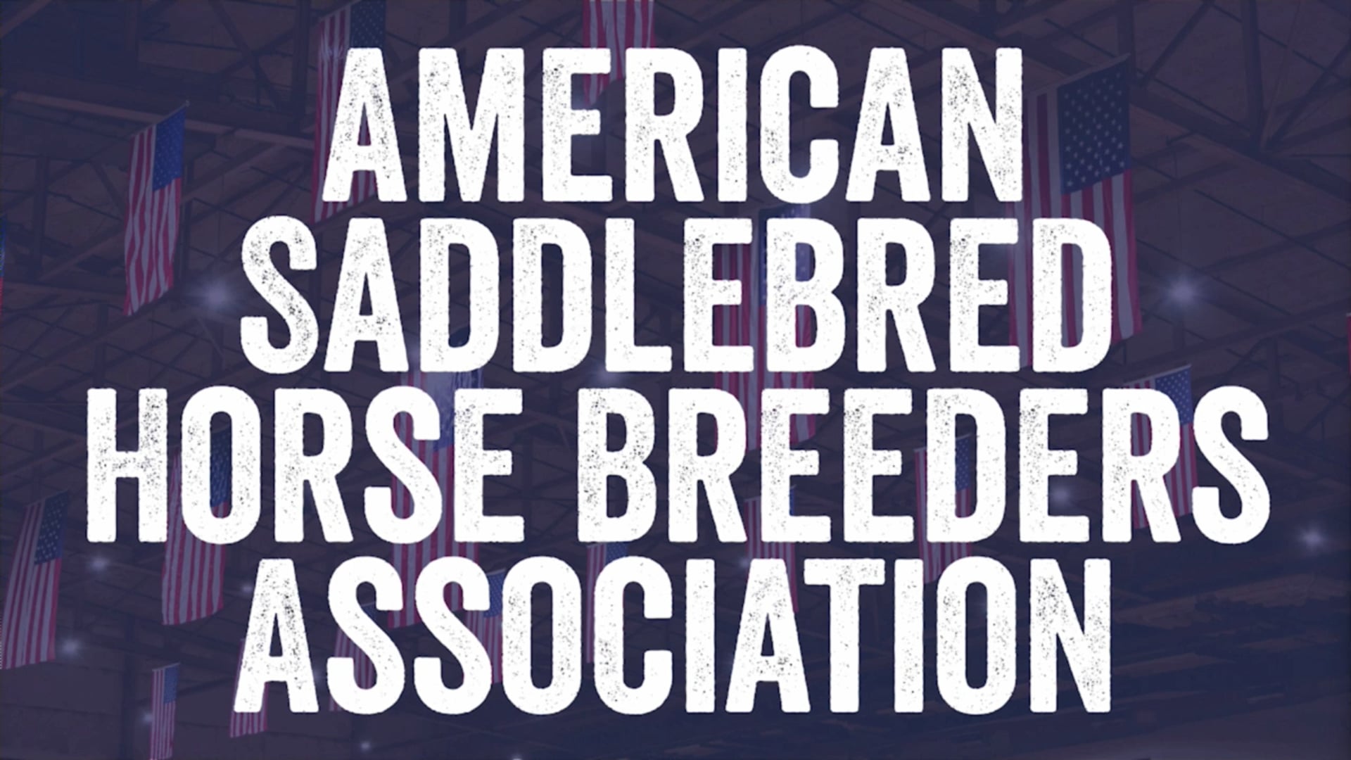2024 American Royal National Championship - Wednesday Afternoon