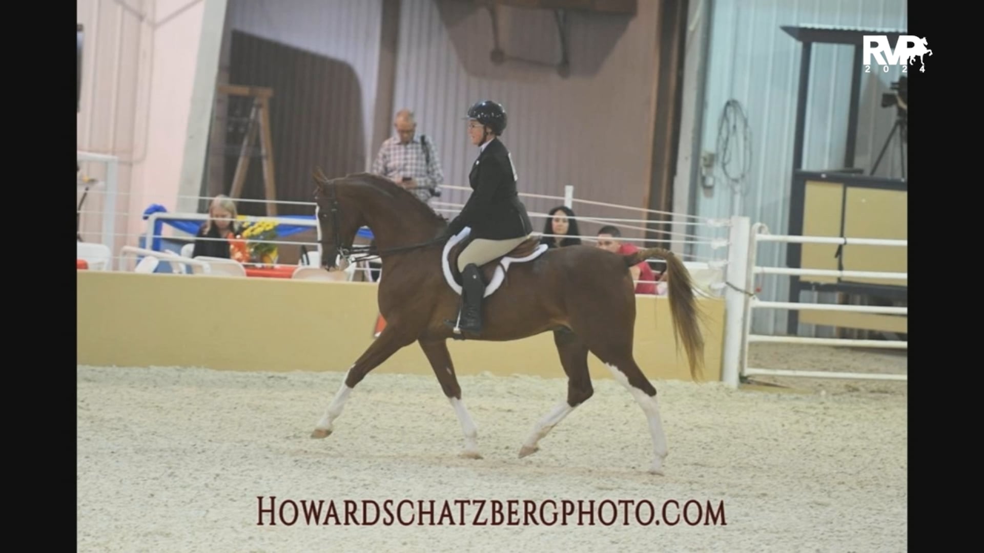 2024 VERSA:ASHBA Mae Condon Award - Rebecca Stewart