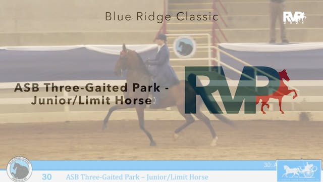 BR24 - Class 30 - ASB Three-Gaited Pa...