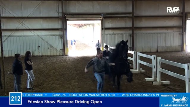 BB16 - Equitation Walk:Trot 9-10 