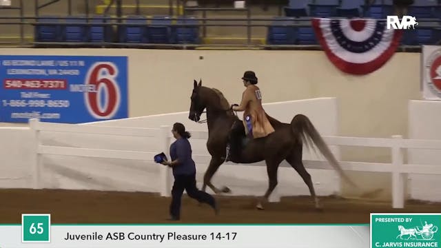 ASHAV17 - Class 65 - CH Uwharrie's Pa...