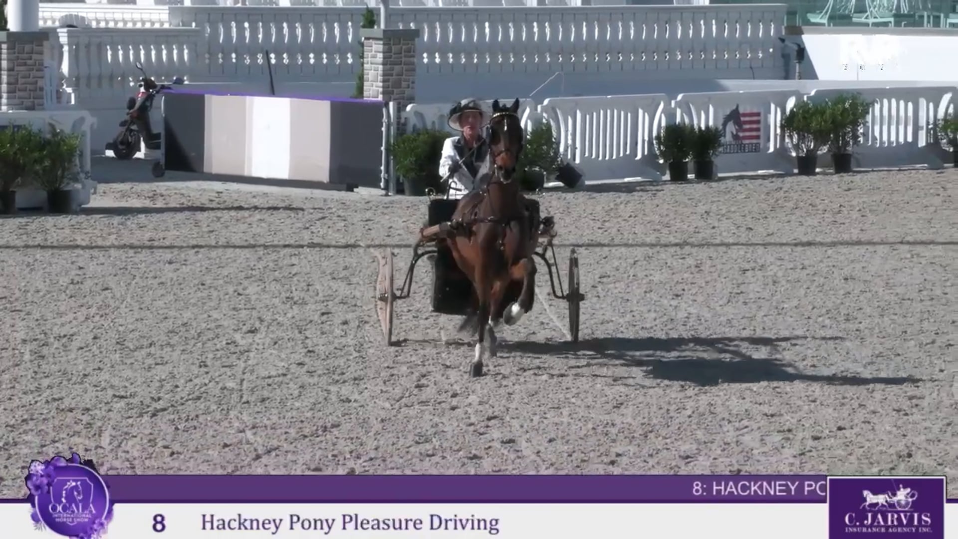 OI25 - Class 8 - Hackney Pony Pleasure Driving