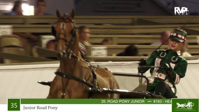 MCF23 - Class 35 - Junior Road Pony