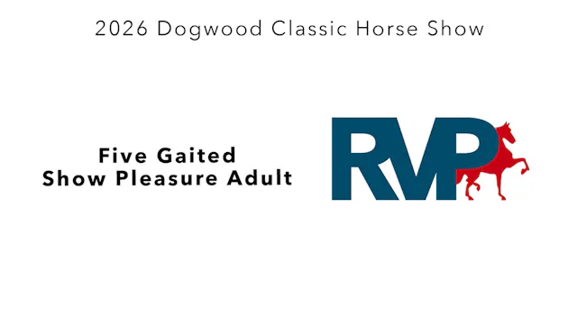 DC26 - Class 15 - Five Gaited Show Pl...