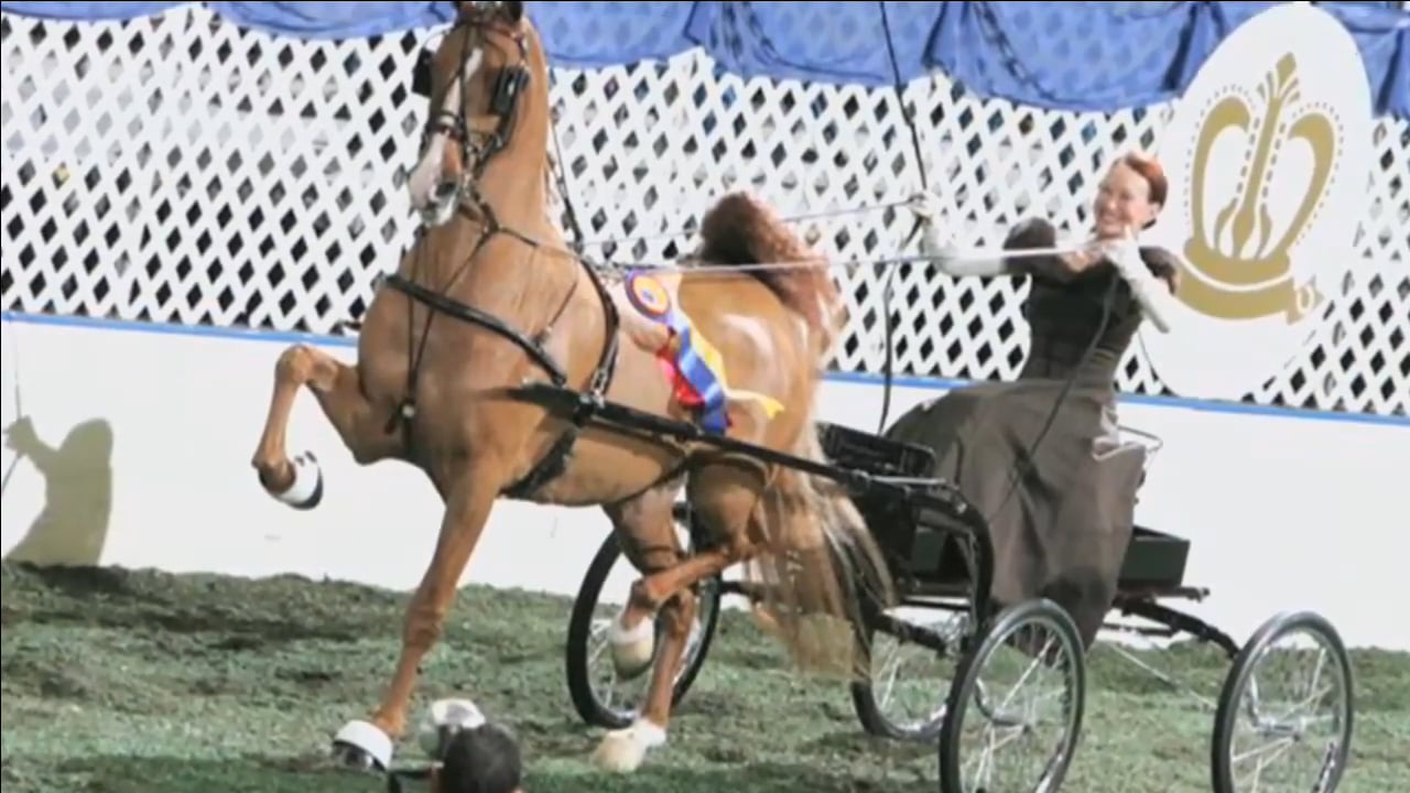 BB16 - Thursday Morning