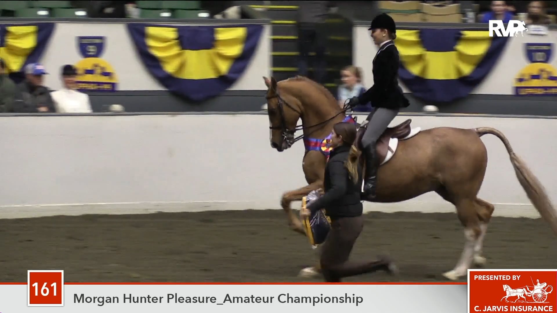 UPHA14-18 Class 161 Bri-B's Crystalpiece