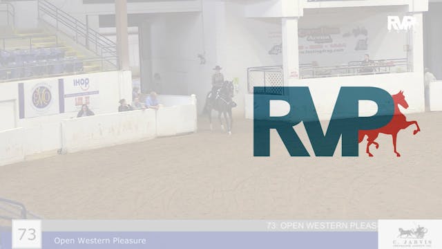 BB22 - Class 73 -  Open Western Pleasure