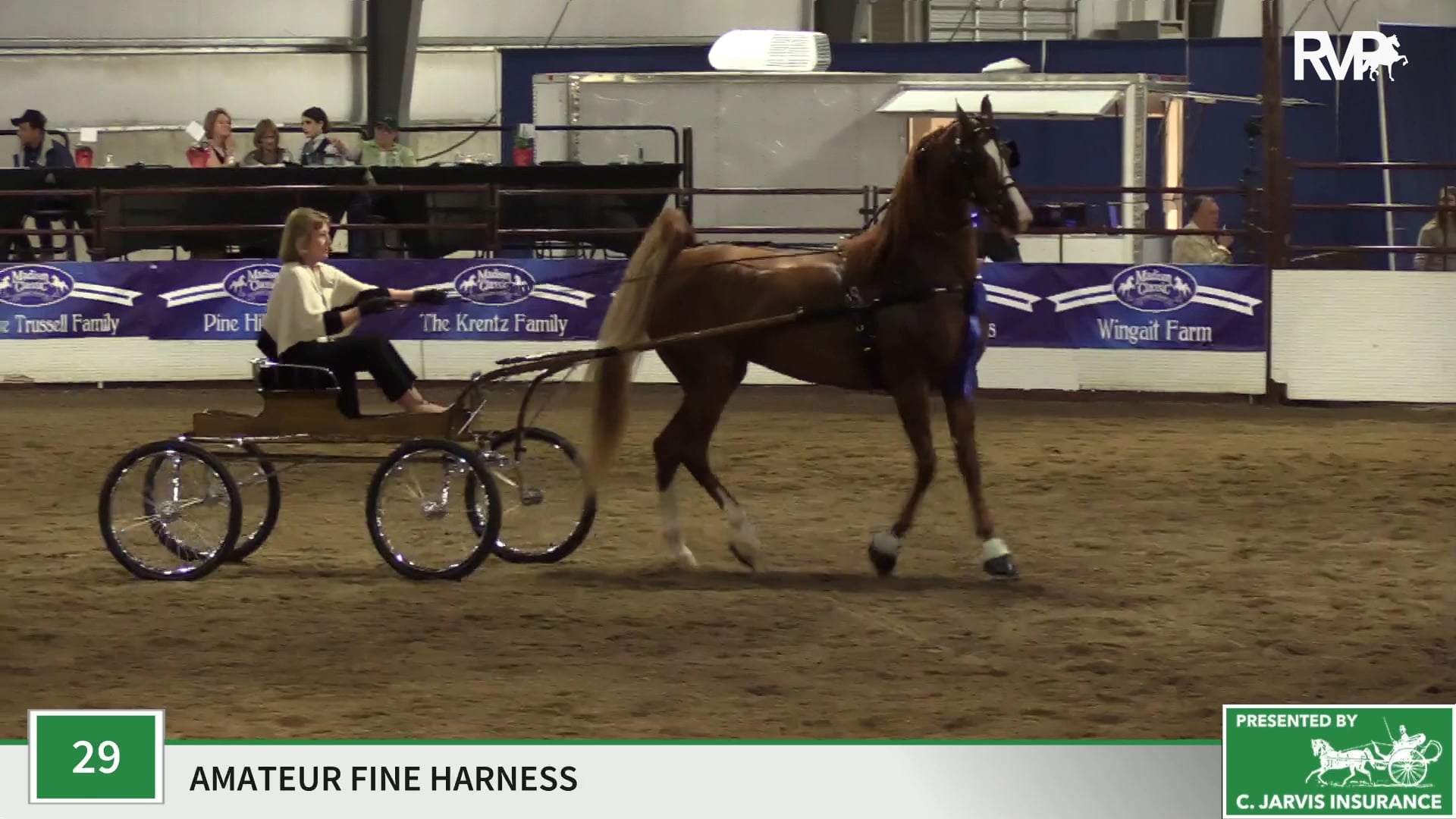 MC19 - Class 29 - Maggie the Cat RAF