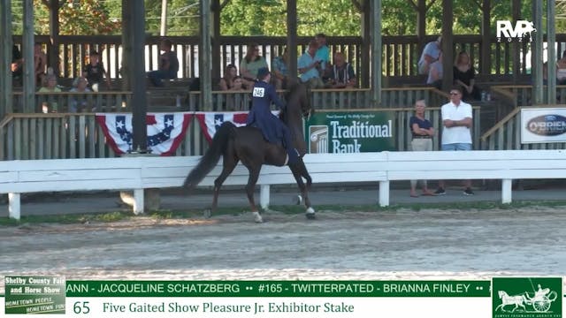 SCF25 - Class 65 - ASB Five Gaited Sh...