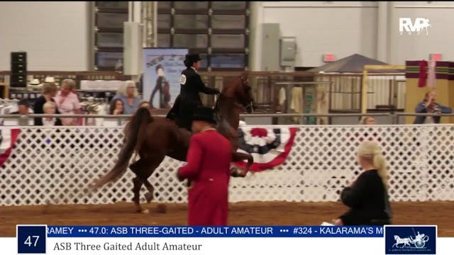 AAC23 - Class 47 - ASB Three Gaited A...
