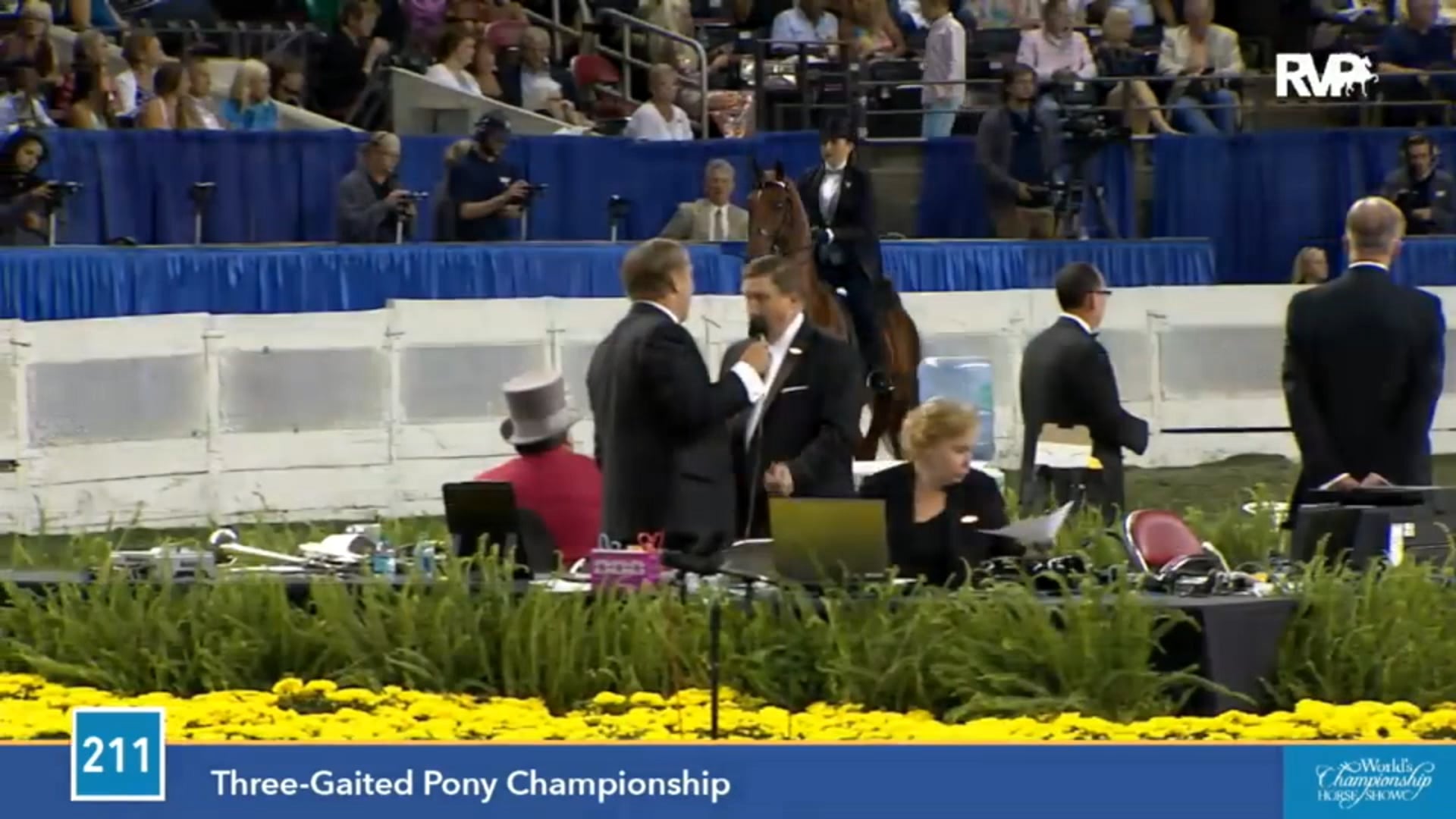 2015 WCHS - Class 211 Three Gaited Pony Championship