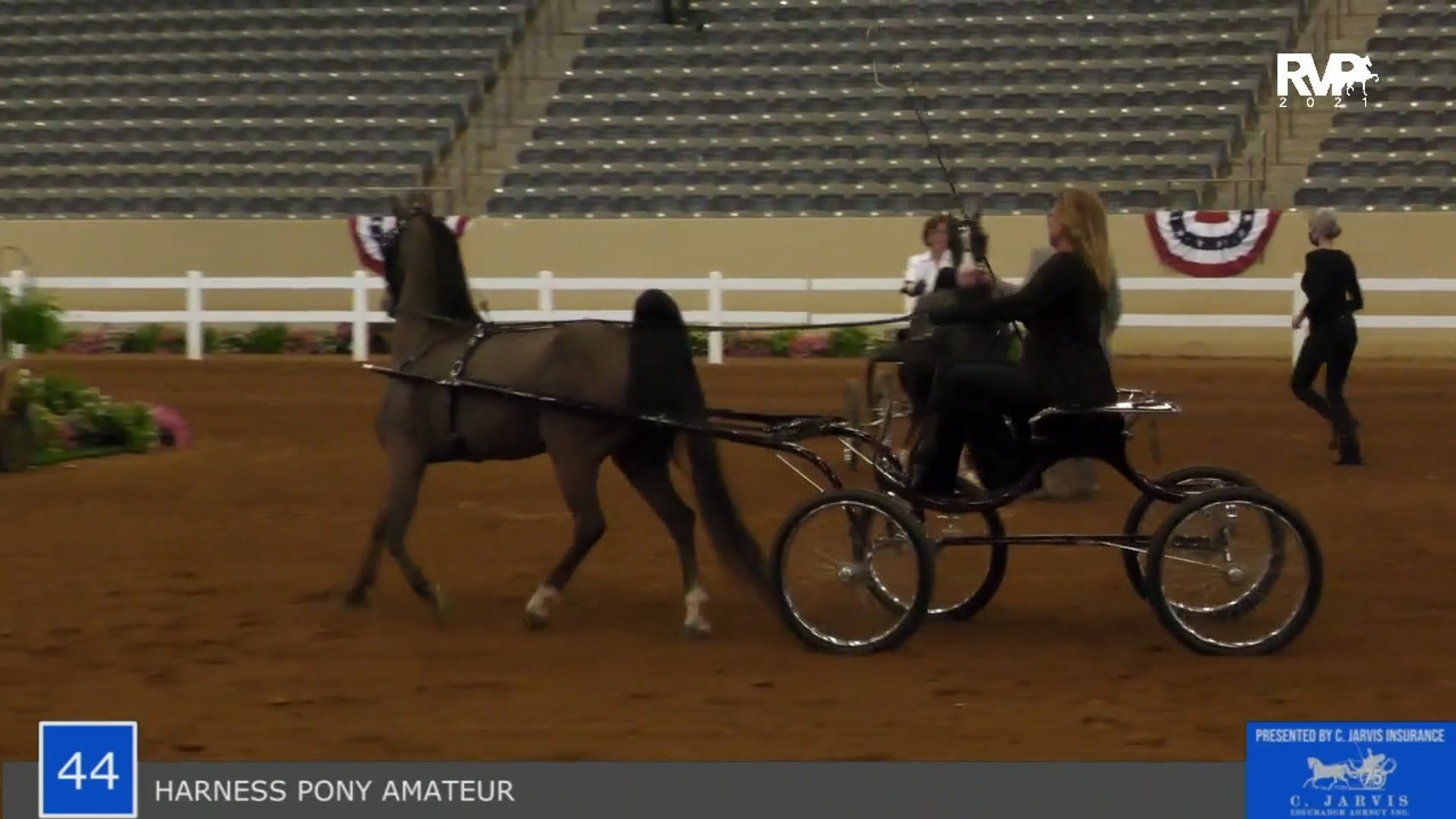 KYSP21 - Class 44 - Harness Pony Amateur