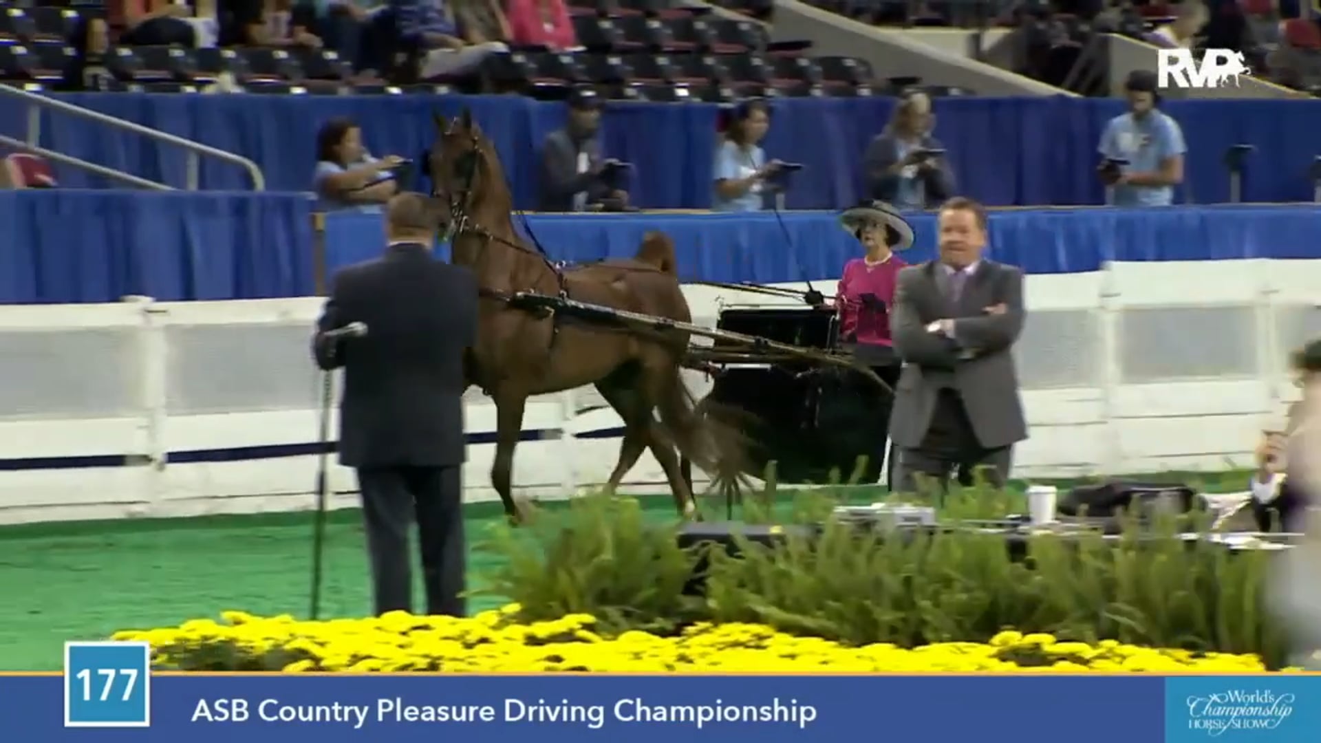 2015 WCHS - Class 177 ASB Country Pleasure Driving Championship