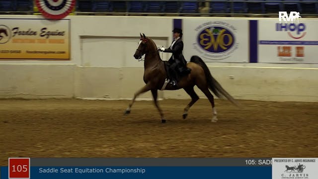 ASHAV21 - Class 105 - Saddle Seat Equ...